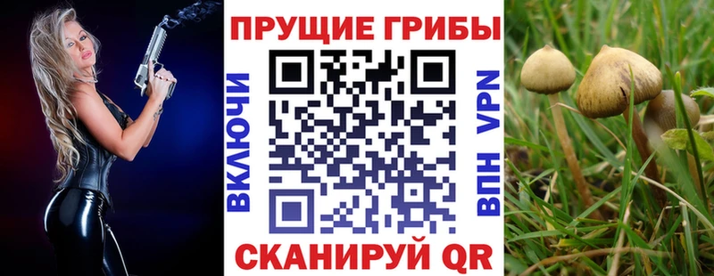 Галлюциногенные грибы ЛСД  где найти   Валдай 